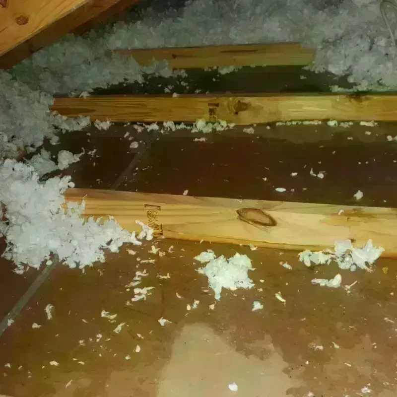 Attic Water Damage in Niobrara County, WY