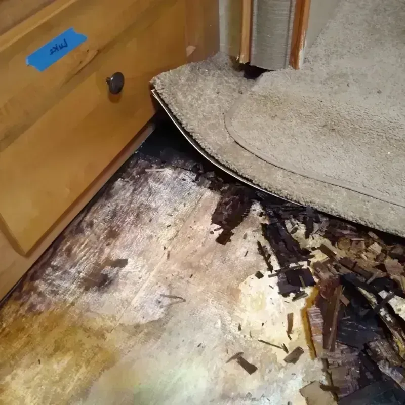 Wood Floor Water Damage in Niobrara County, WY